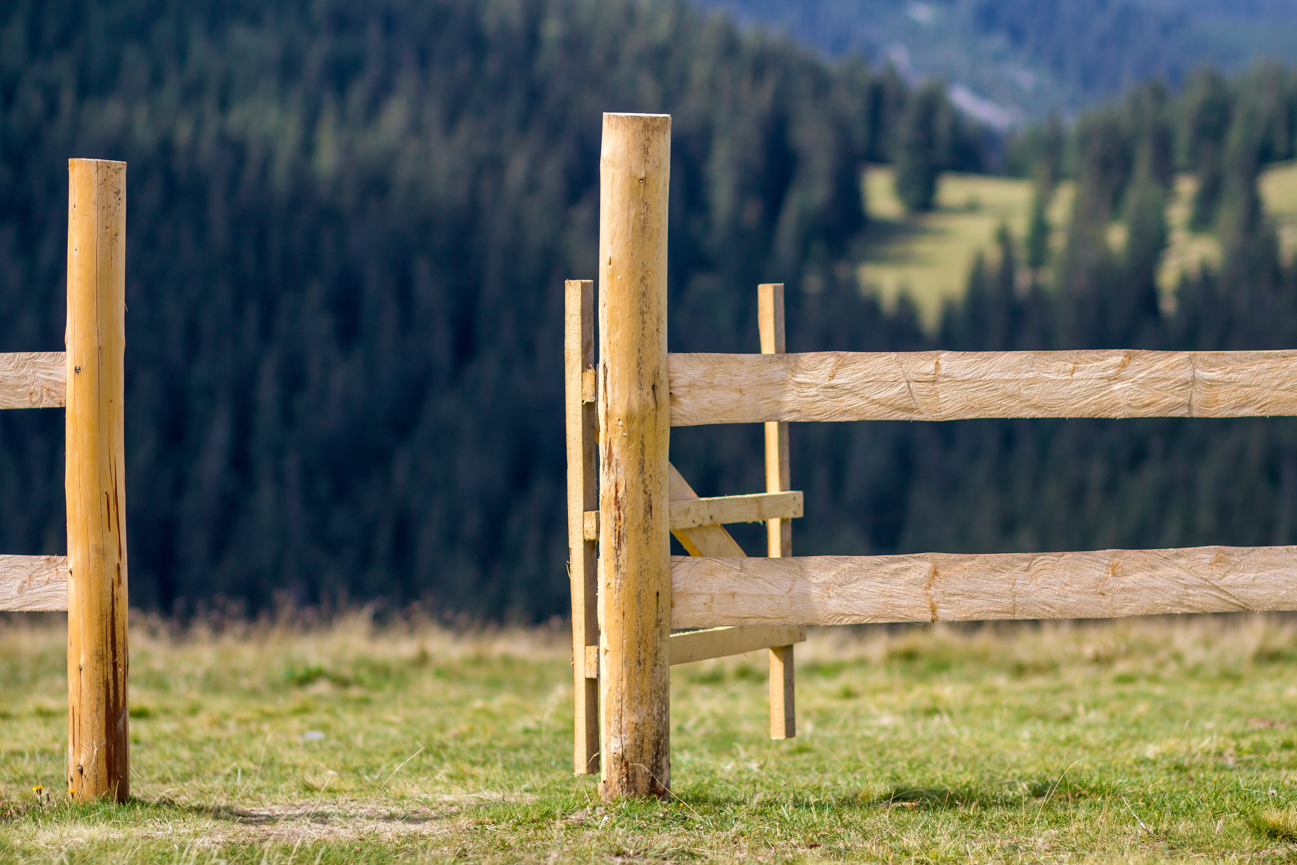Timber post-and-rail fence on East Auckland rural-residential property by Eastern Decks